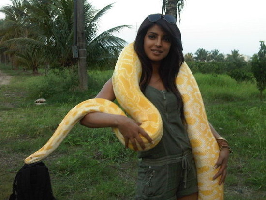 Priyanka-chopra-with-a-python