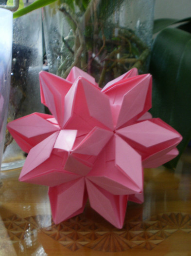 P5291296 - origami