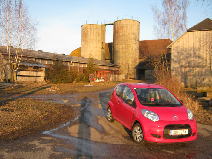 in vizita la ferma - Prechtl Ziegen Farm   Capre