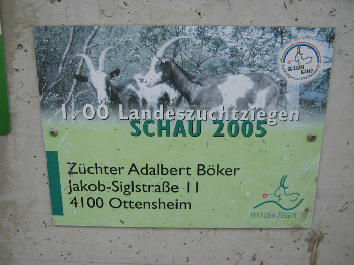 ferma domnului Adalbert - Boker tauernscheken ziege capre