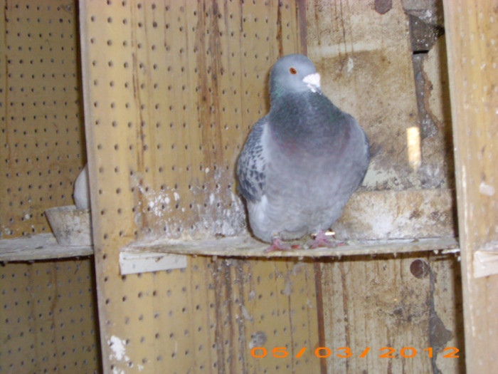 IMG_2358 F 2008