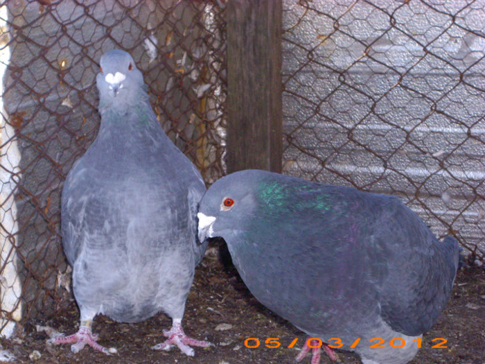 IMG_2364 M 2009 F 2008