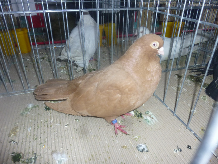 P1200933
