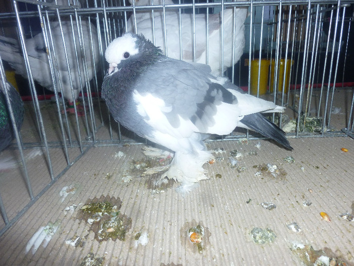 P1210006