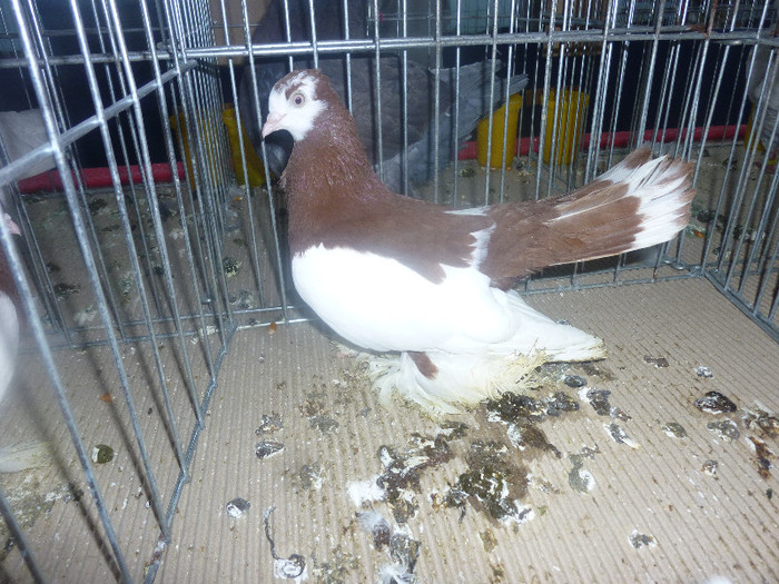 P1210007