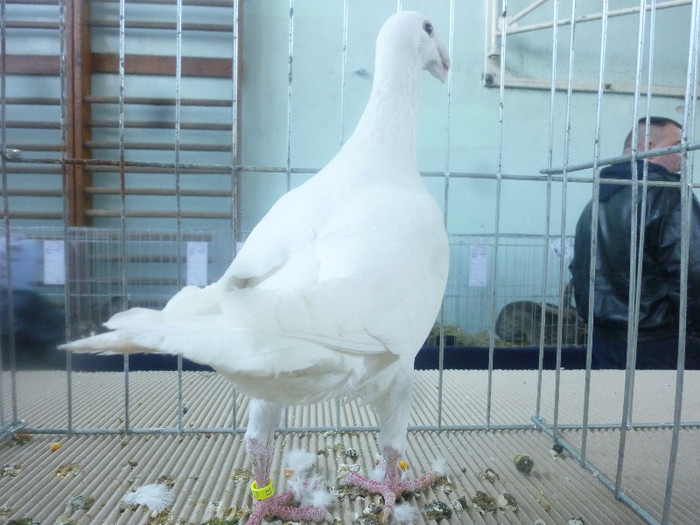 P1210009