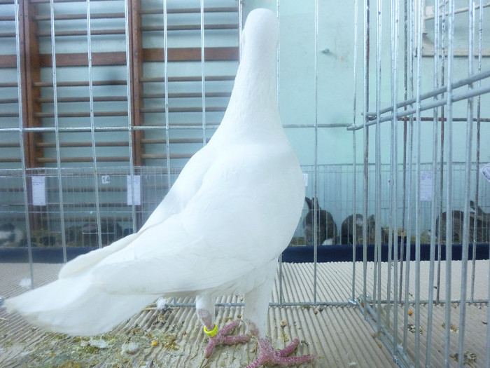P1210010