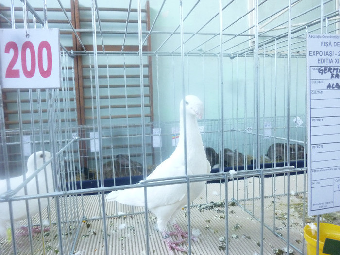 P1210011