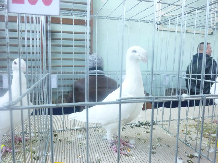 P1210012