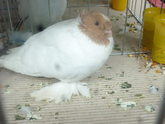 P1210031