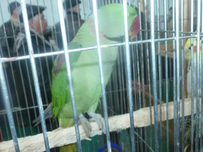 P1210038
