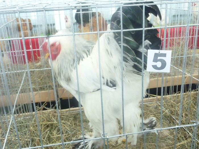 P1210045