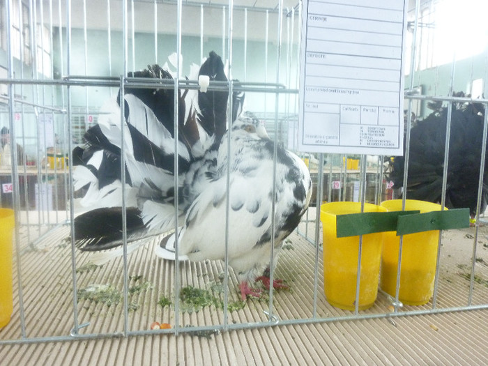 P1210082