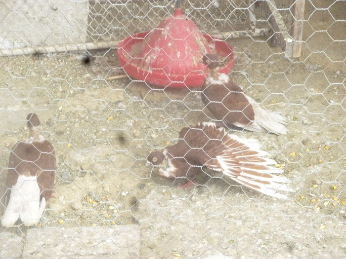P1210125