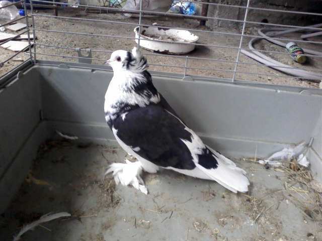 Photo0344