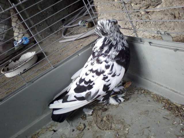 Photo0346