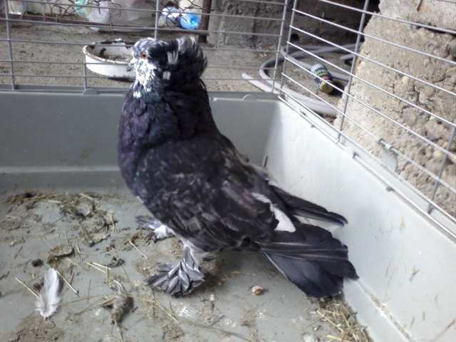 Photo0348