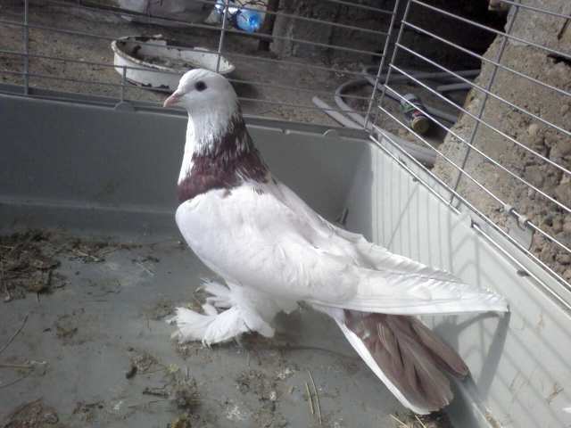 Photo0351
