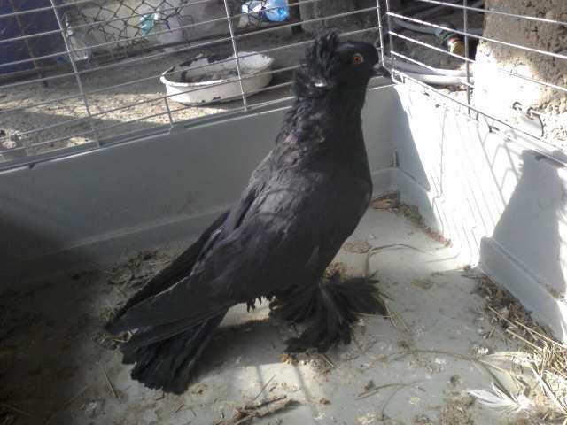 Photo0352