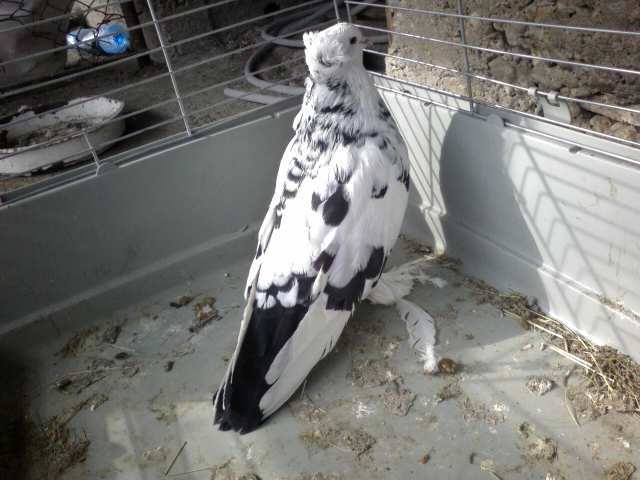 Photo0358