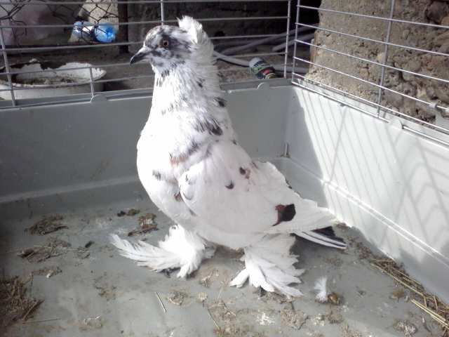 Photo0359