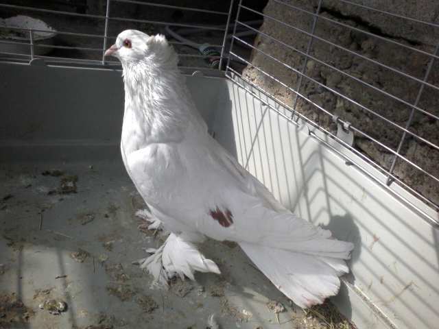 Photo0360