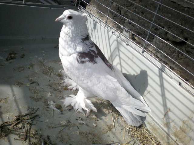 Photo0362
