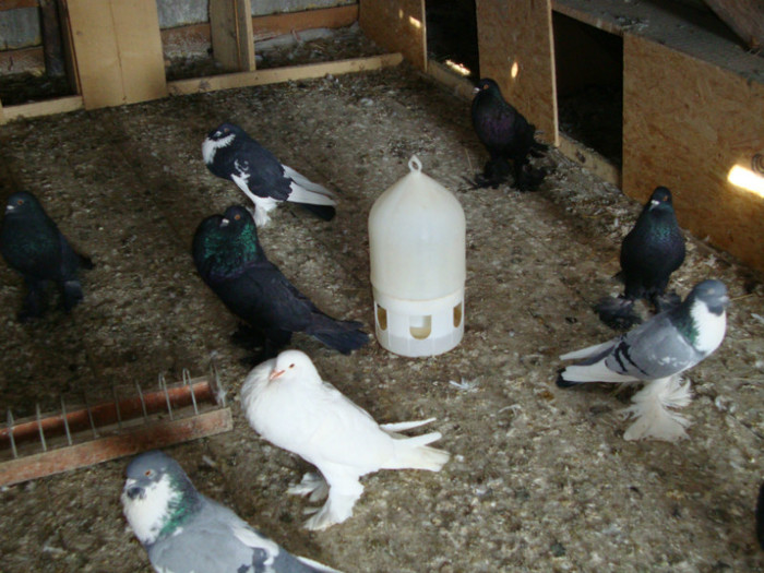DSC00588