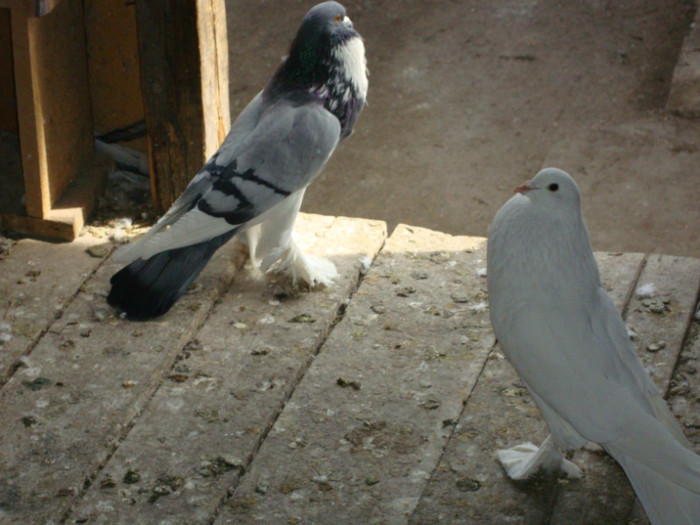 DSC00600