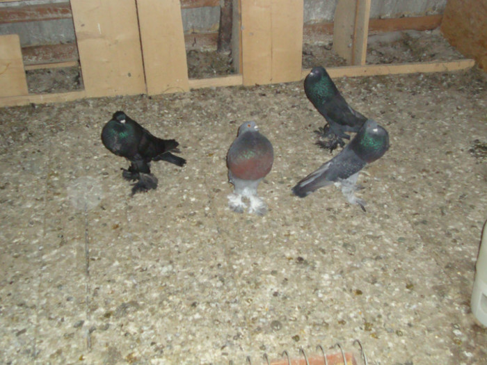 DSC00657
