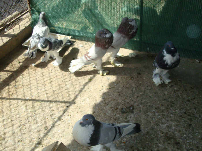 DSC00670