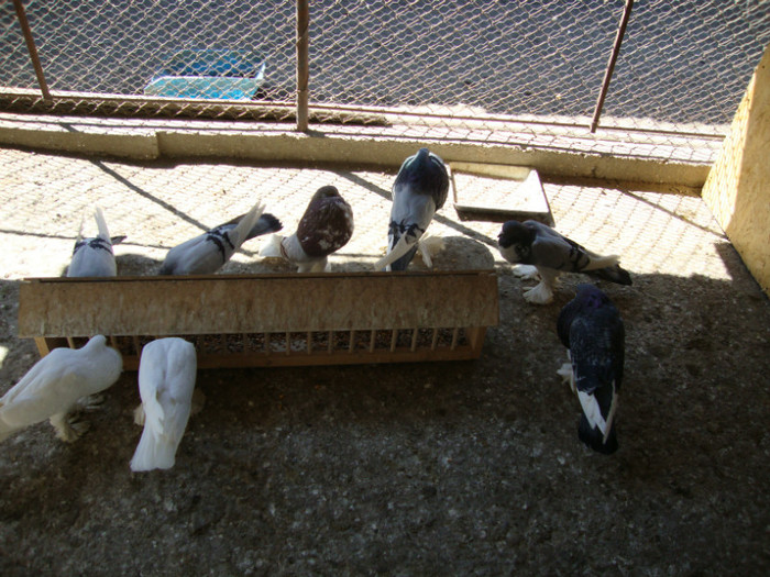DSC00751