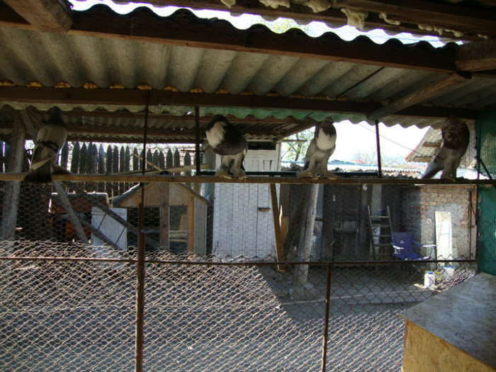 DSC00767