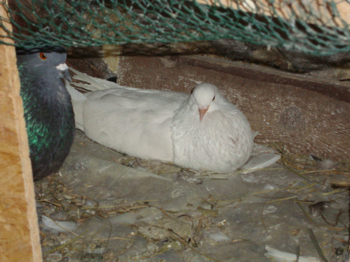 DSC00796