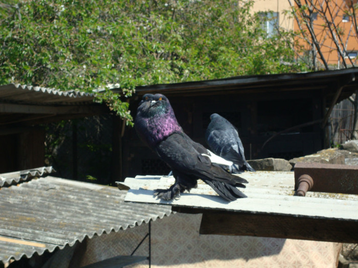 DSC00802