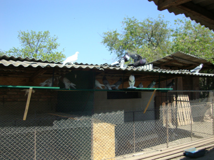 DSC00808