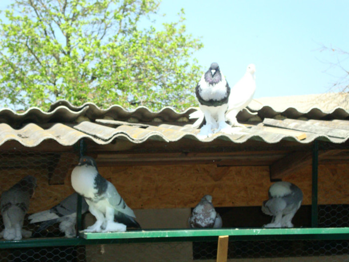 DSC00812
