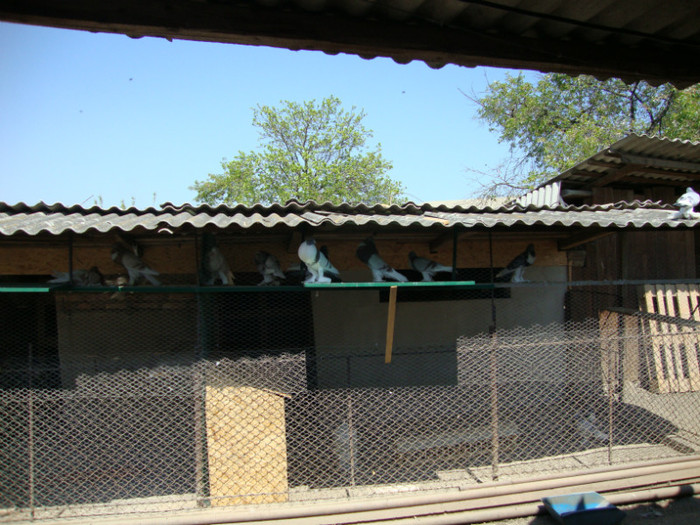 DSC00815
