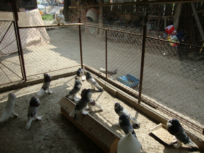 DSC00841