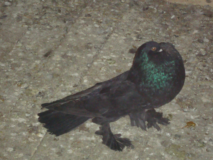 DSC00845