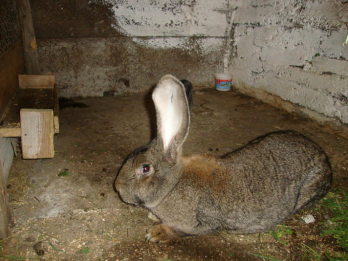 DSC00869