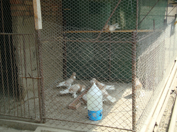 DSC00873