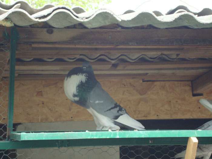 DSC00875