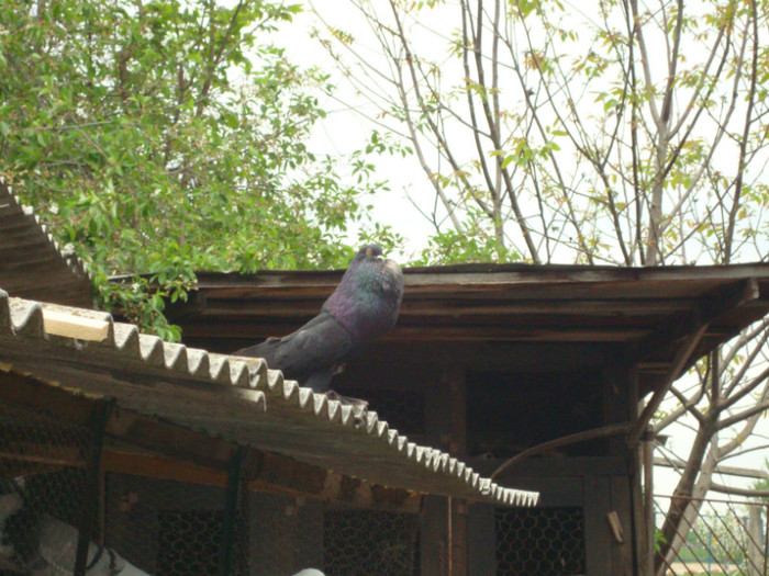 DSC00898
