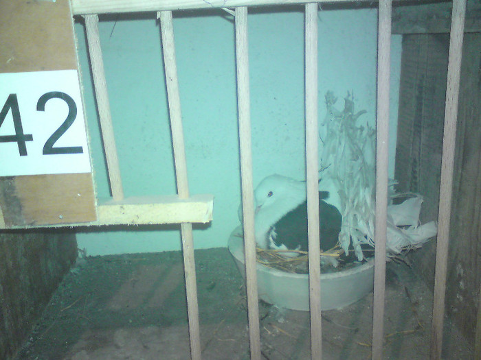 alta  pereche capaciti pe negru