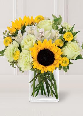 FELICITARI SI MULTUMIRI - trandafiri NOU