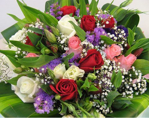 flori - trandafiri NOU