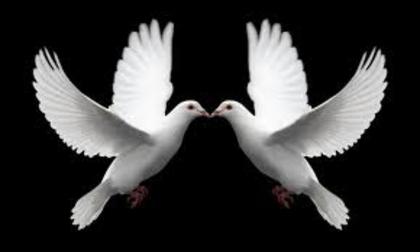 images (28)