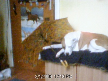 --------------------------