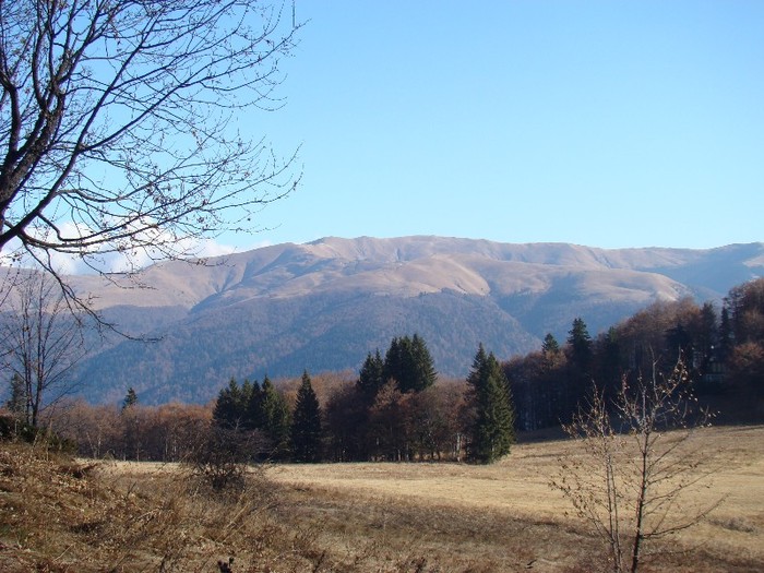 DSC08884 - Bucegi Decembrie 2011